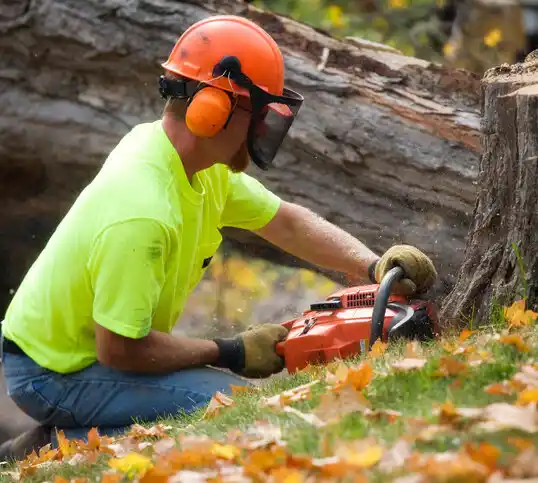 tree services Cottage City